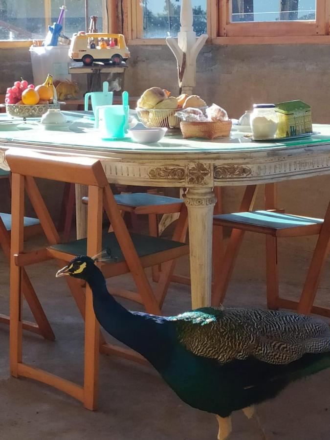 Finca La Pasionaria - Conectandonos Villa Belén de Escobar Dış mekan fotoğraf